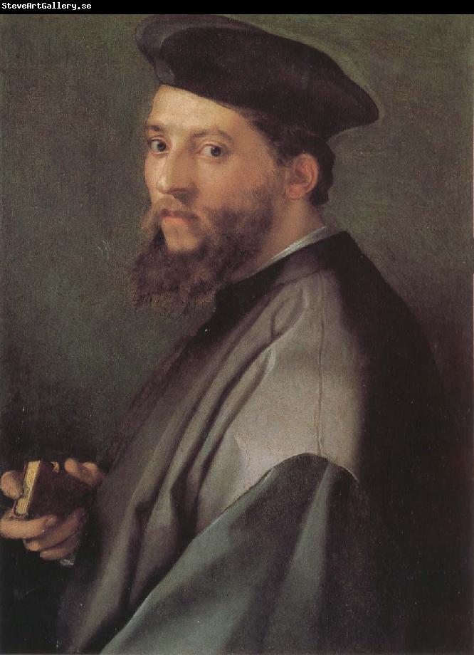 Andrea del Sarto Portrait of ecclesiastic